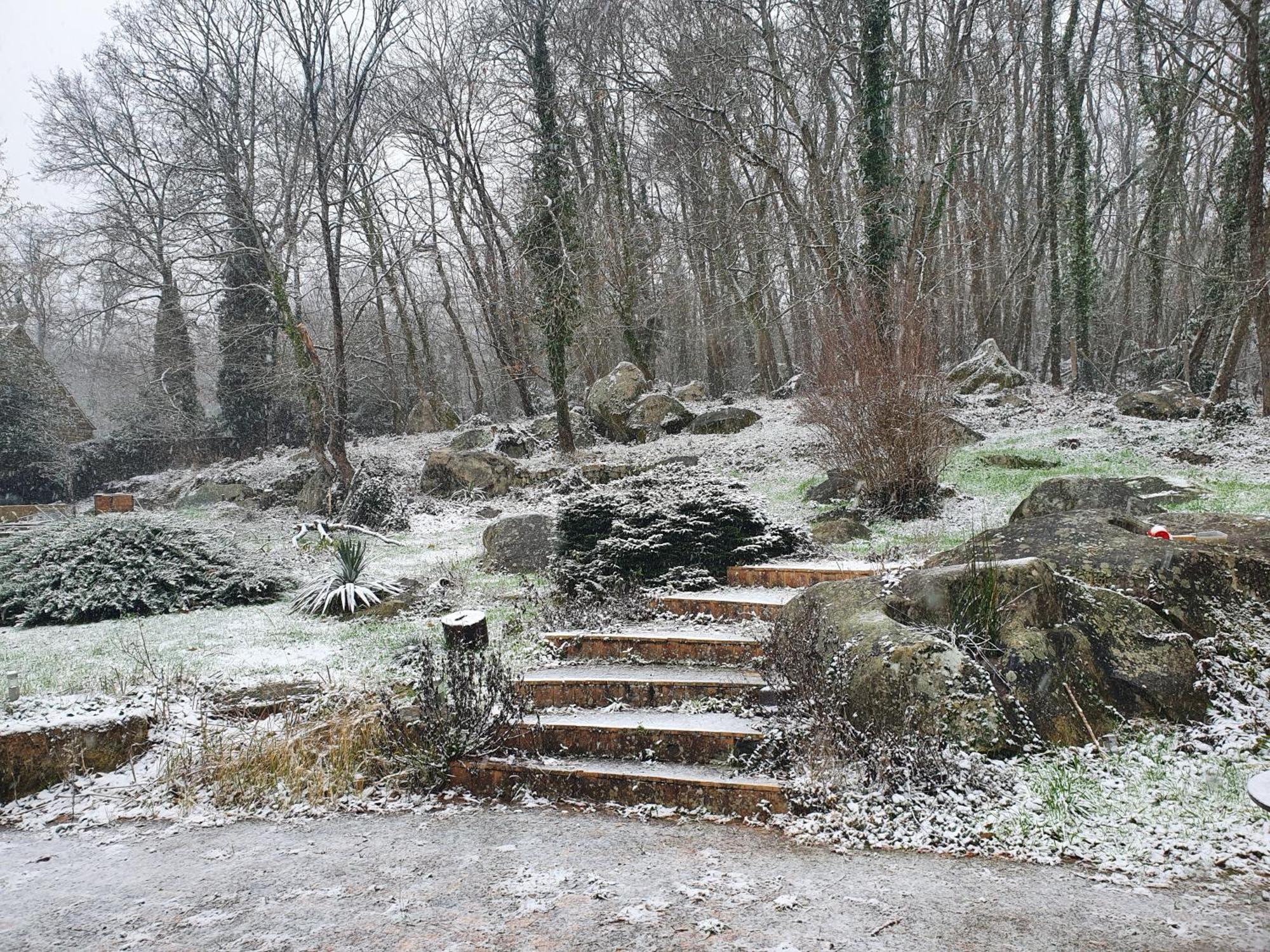 Bed and Breakfast Le Jardin des Roches Moigny Exterior foto